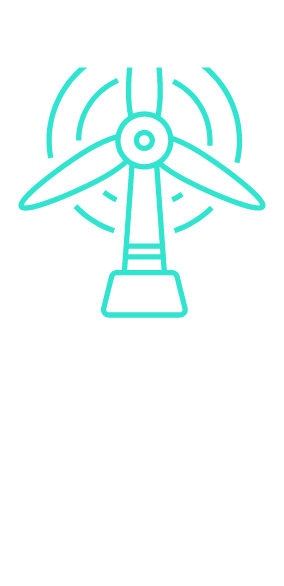 81%